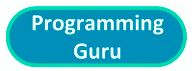 Programming Guru